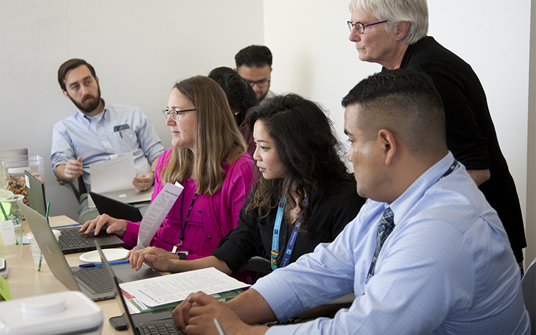 Teaching Scholars Program
