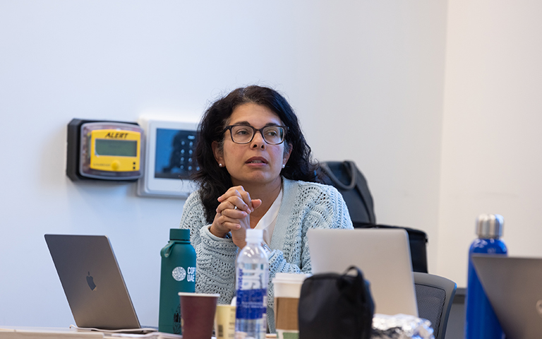 photo of Arianne Teherani PhD