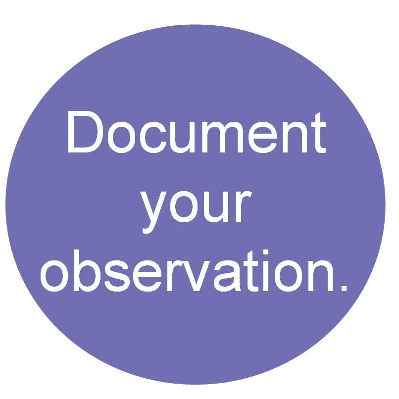 Document your observation