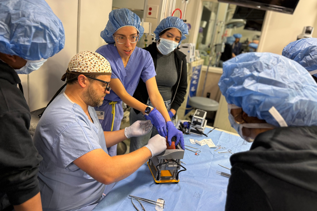 A professor and medical student demonstrate pig kidney transplantation to ImmunoExplore campers
