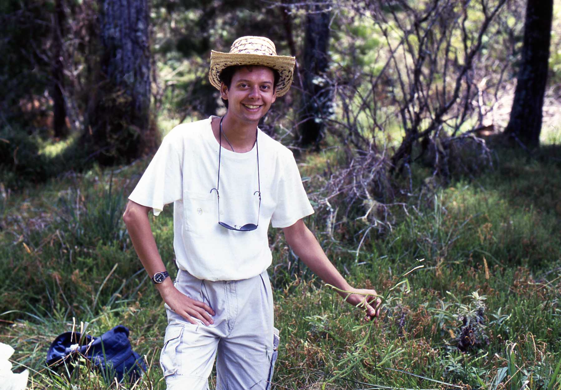 Lycopodium Patch, Zomba Plateau, Malawi, 1989