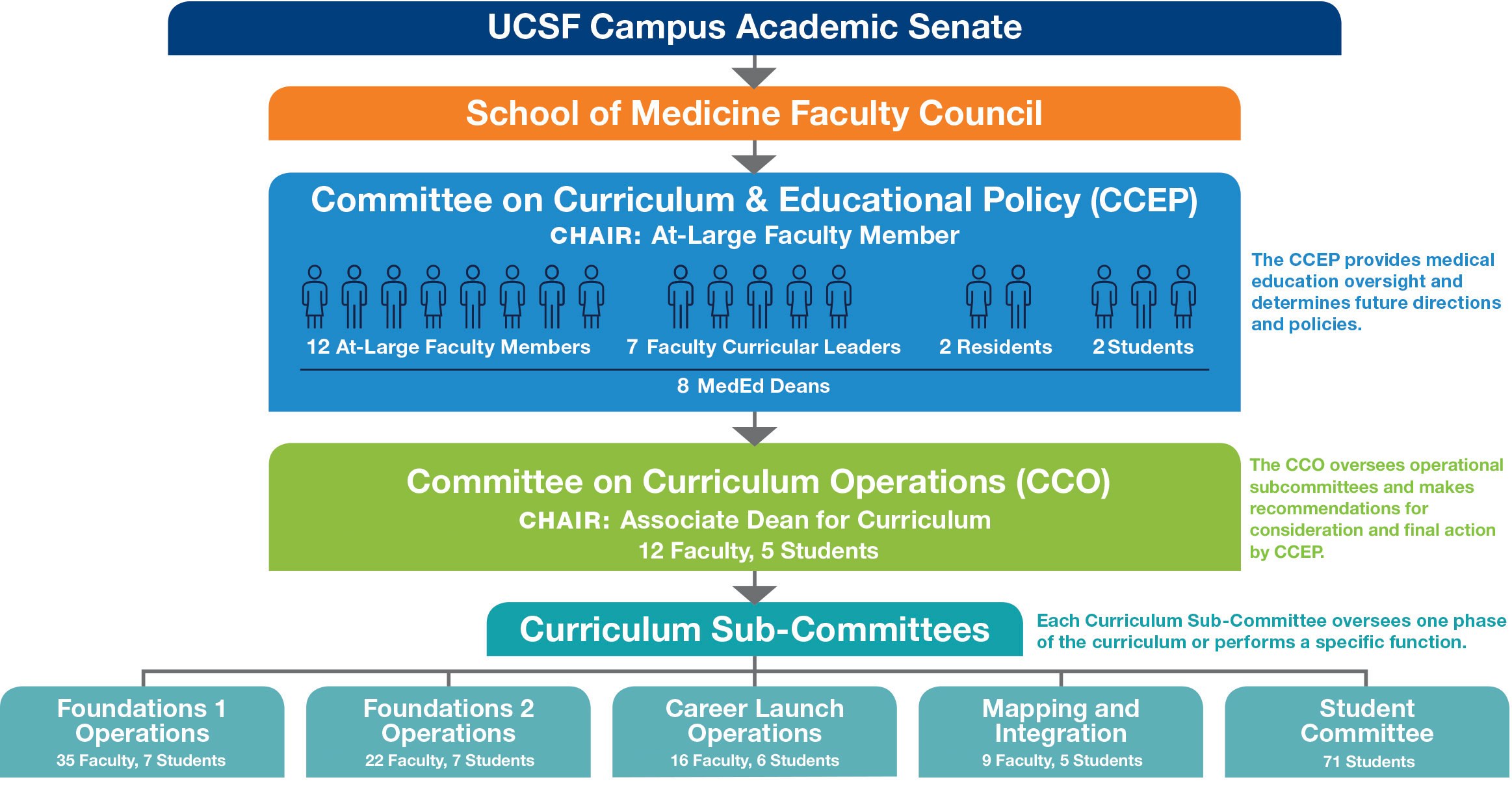 MedEd Governance Graphic