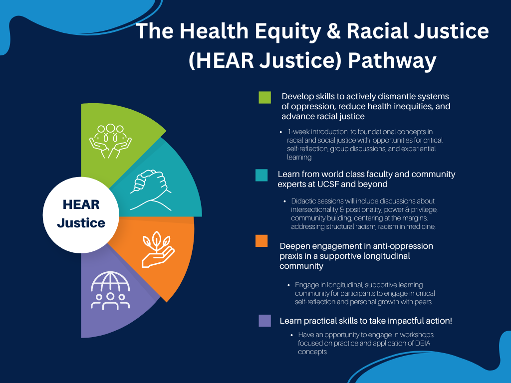 HEAR Justice Pathway Highlights also described in text in the below section