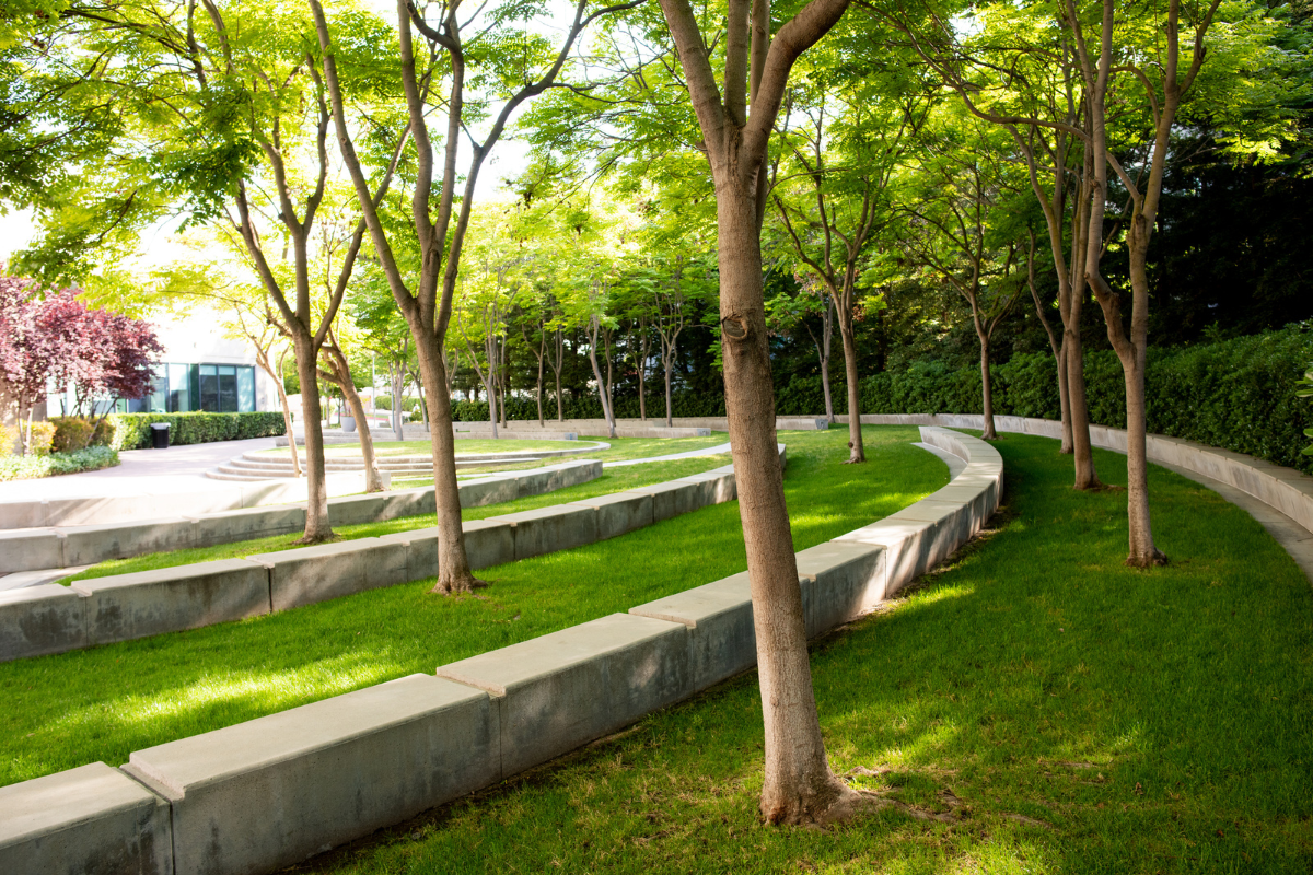 UCSF Fresno Courtyard