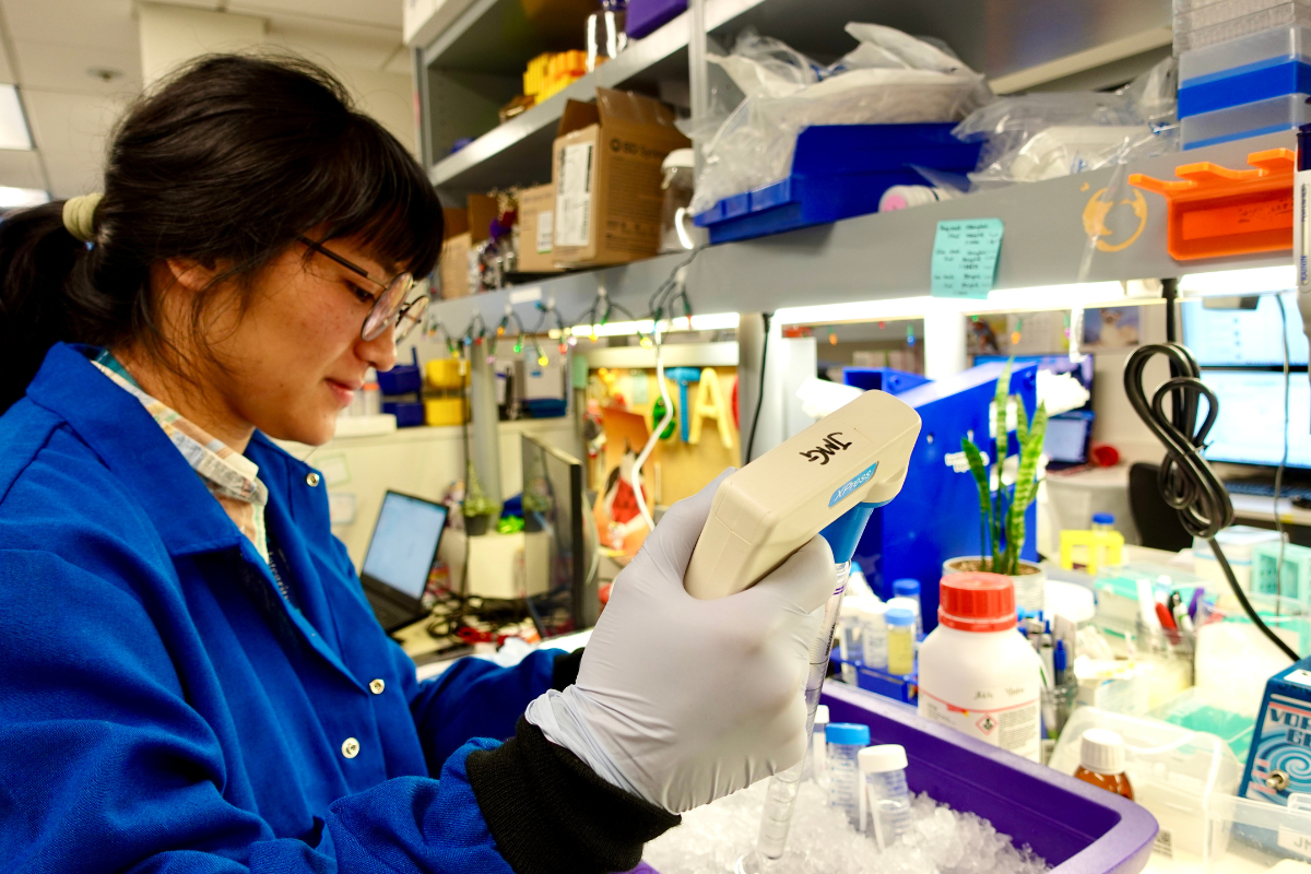 Person working in a laboratory