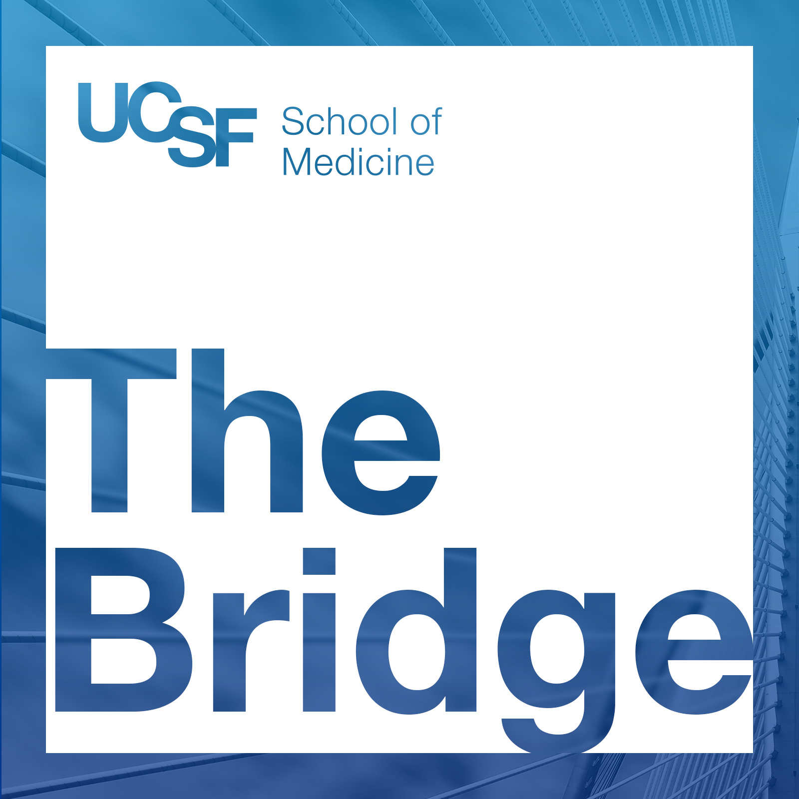 The Bridge podcast artwork