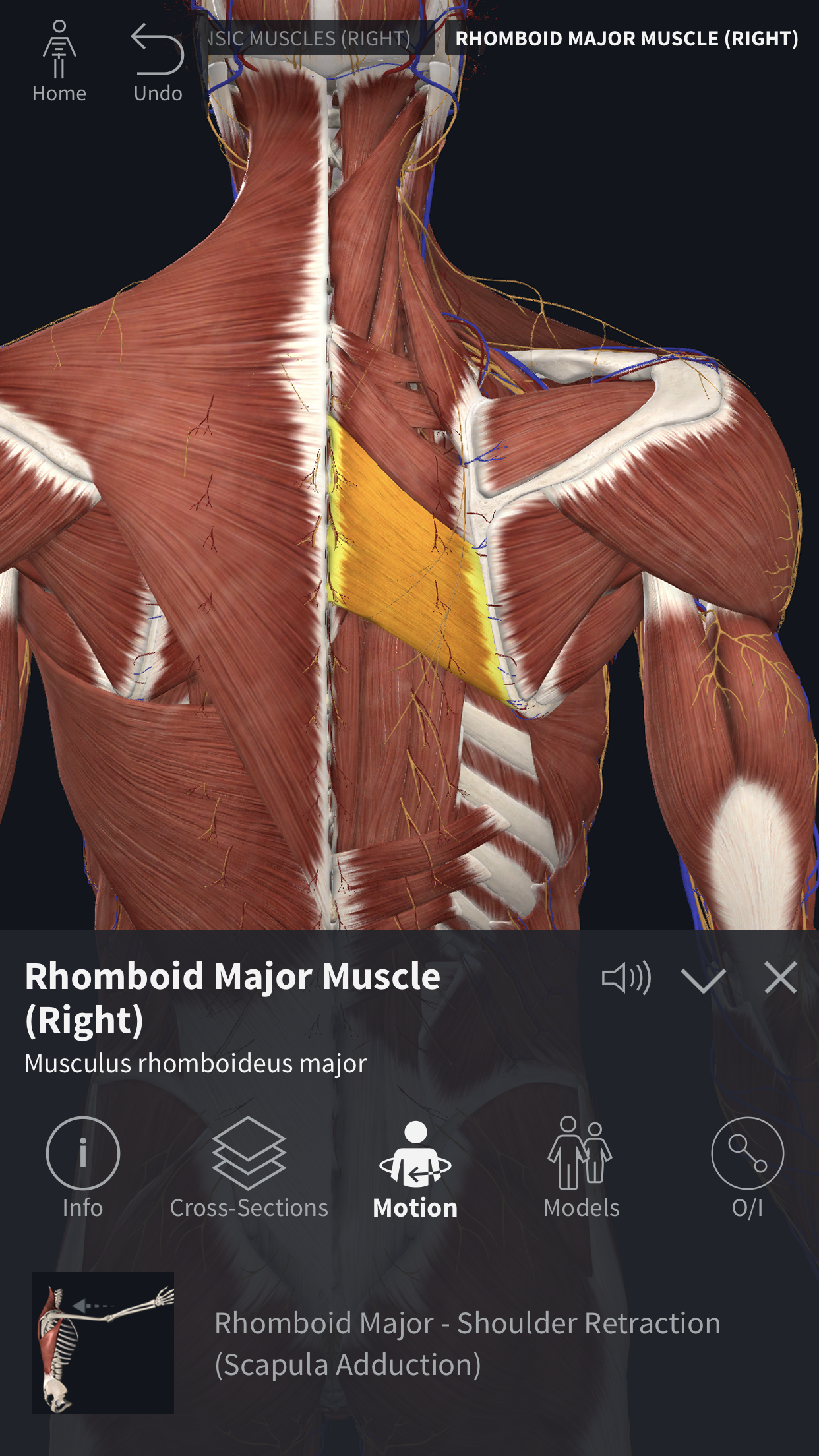 anatomy app