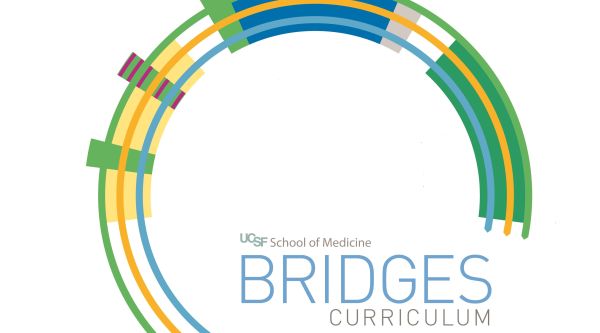 Bridges Curriculum 